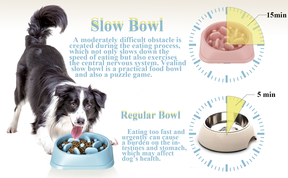 Vealind Slow Feeder Dog Bowl Interactive Medium Small Dogs Pet Bowls to