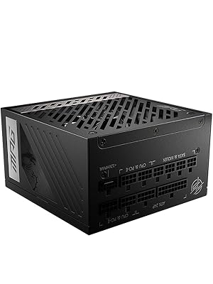 最終値下げ/MSI MPG A1000GS PCIE5電源ユニット 1000W Amazon.in: Buy MSI MPG A1000G PCIE5 Digital Power Supply