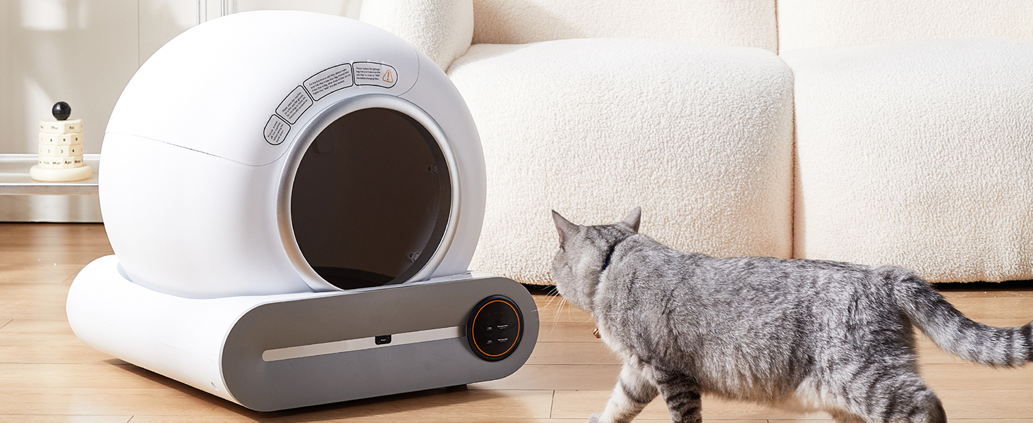 a cat standing next to a portable dog wash.