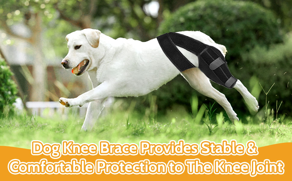 JIANGZHI Dog Knee Brace,Acl Brace for Dogs Rear Leg,for