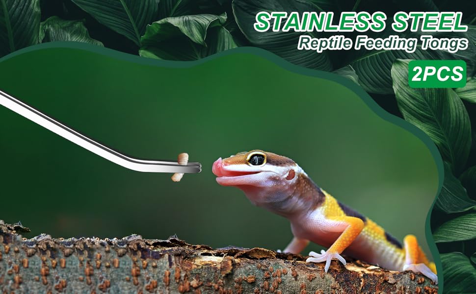 Reptilien-Futterzange aus Edelstahl mit Futter für einen bunten Gecko. Das Paket enthält 2 Stück. Die Zange hat einen langen Griff für sicheres Füttern.