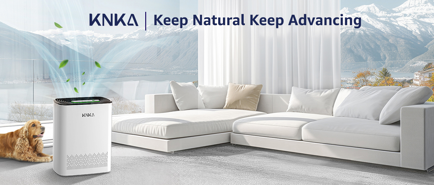 hepa filters air purifier large college dorm air purifier pet air purifiers for bedroom