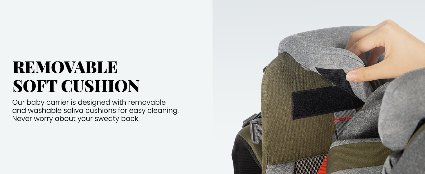 Removable Cushion