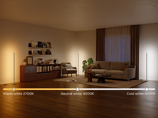 Interior room views showing dimly lit living space with bookshelves and furniture in warm lighting conditions.