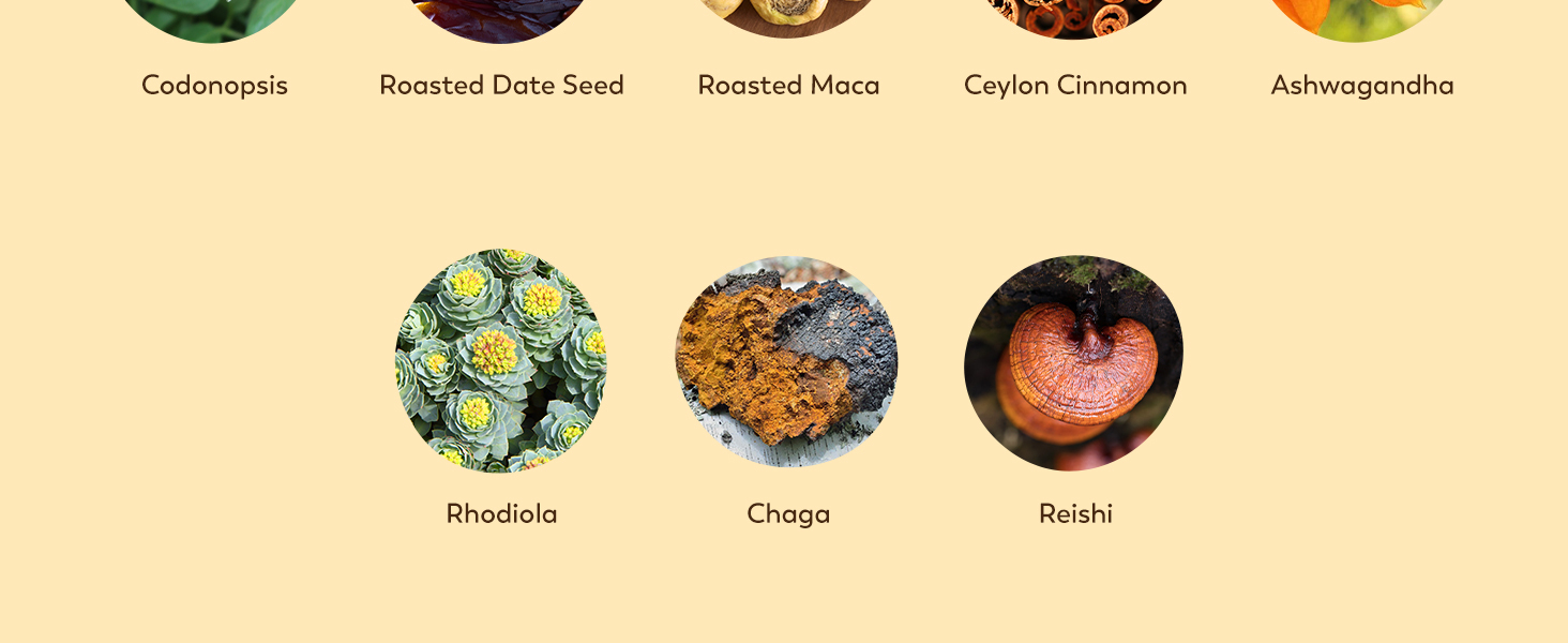 Large manufacture image 5