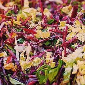 Cabbage Shredder Slicer Knife