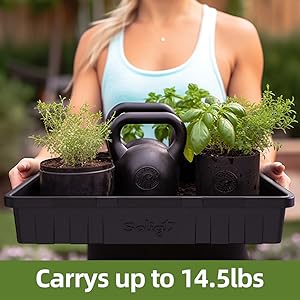 plant germination trays