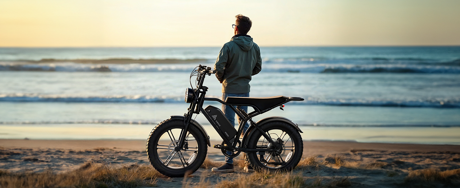 electric bike