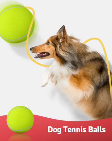 giant tennis ball for dogs