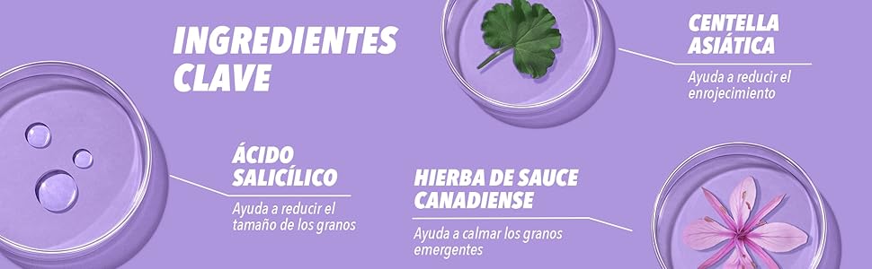 Banner Ingredientes 2