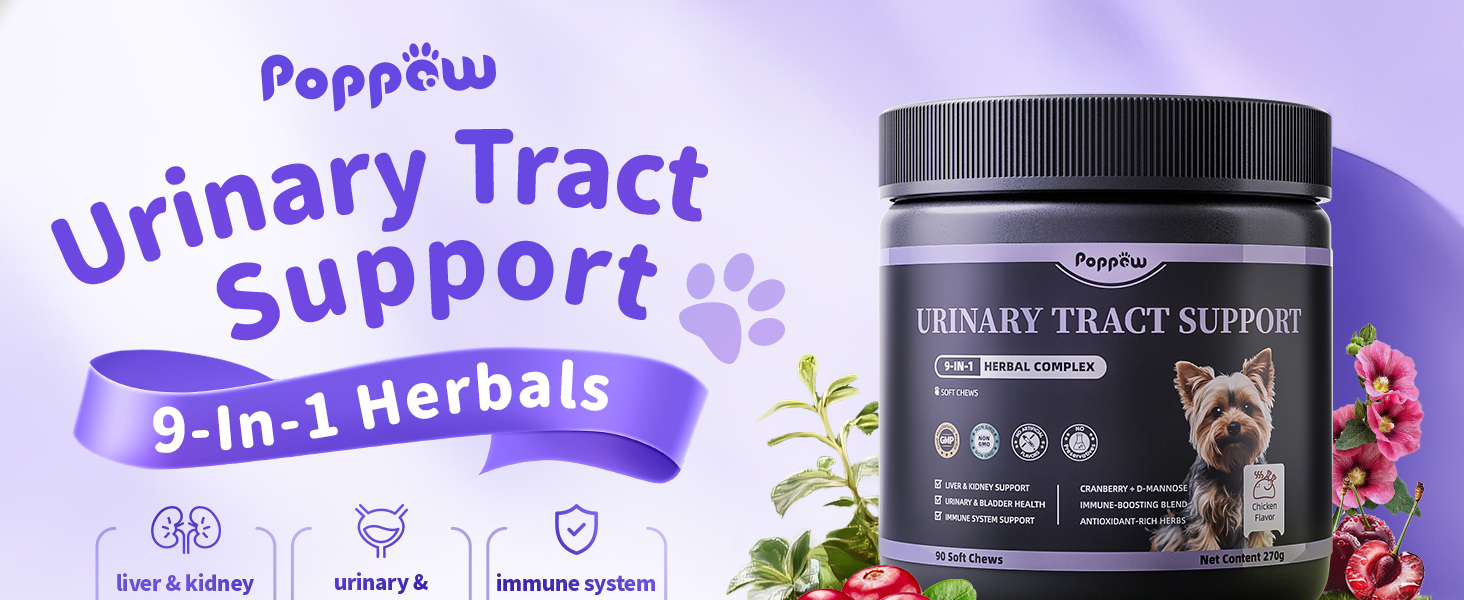 dog uti support