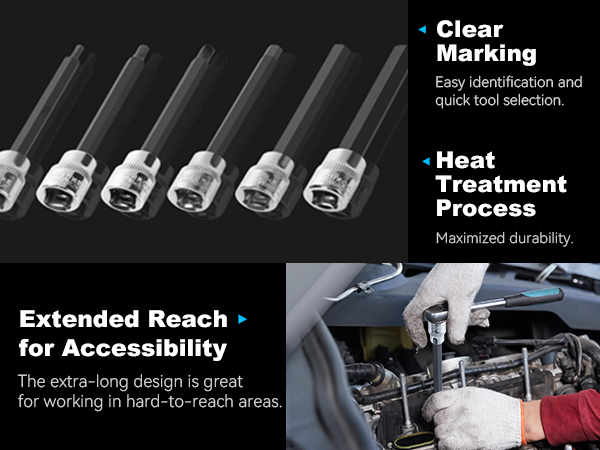 アレン 2点セット Reniteco 19-Piece 3/8 Inch Drive Extra Long Allen Hex Bit