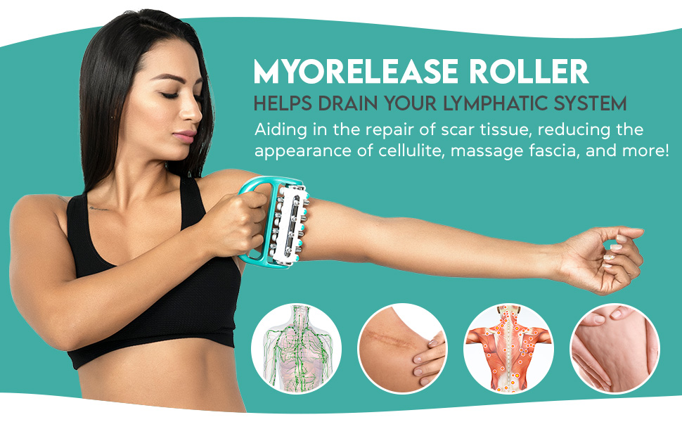Myorelease Lymphatic Roller Section 2