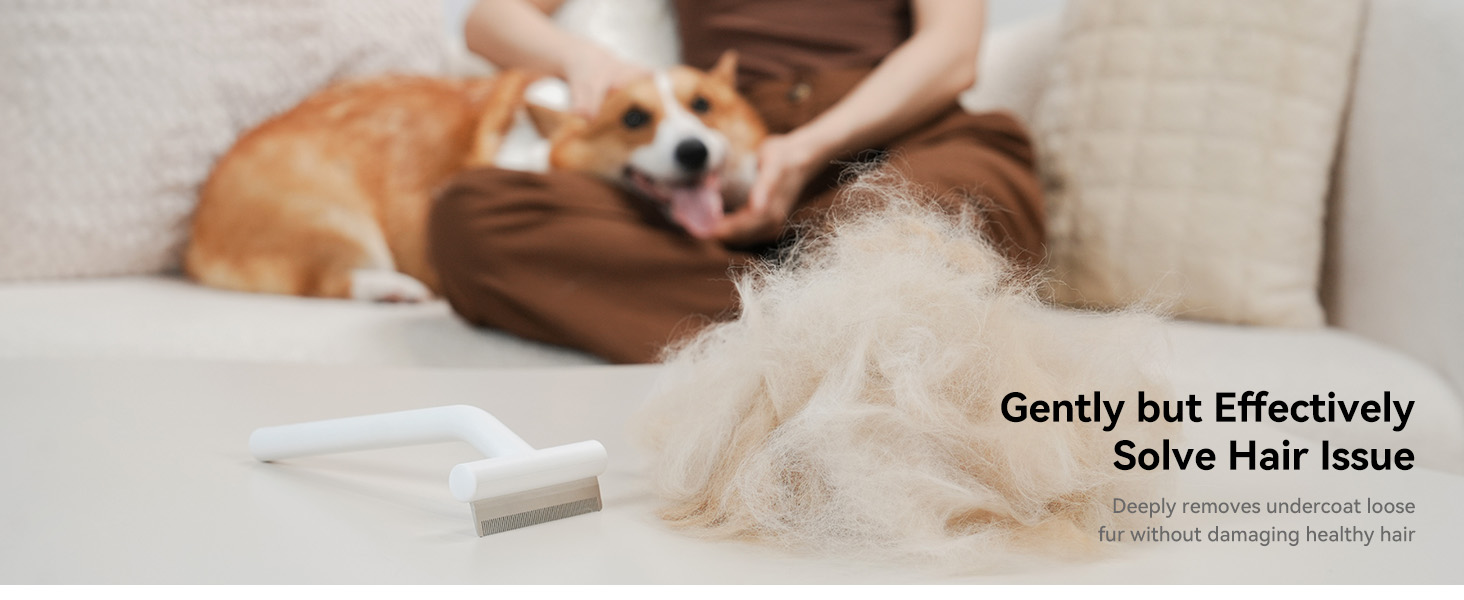 dog shedding brush