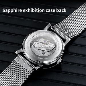 Sapphire exhibition case back