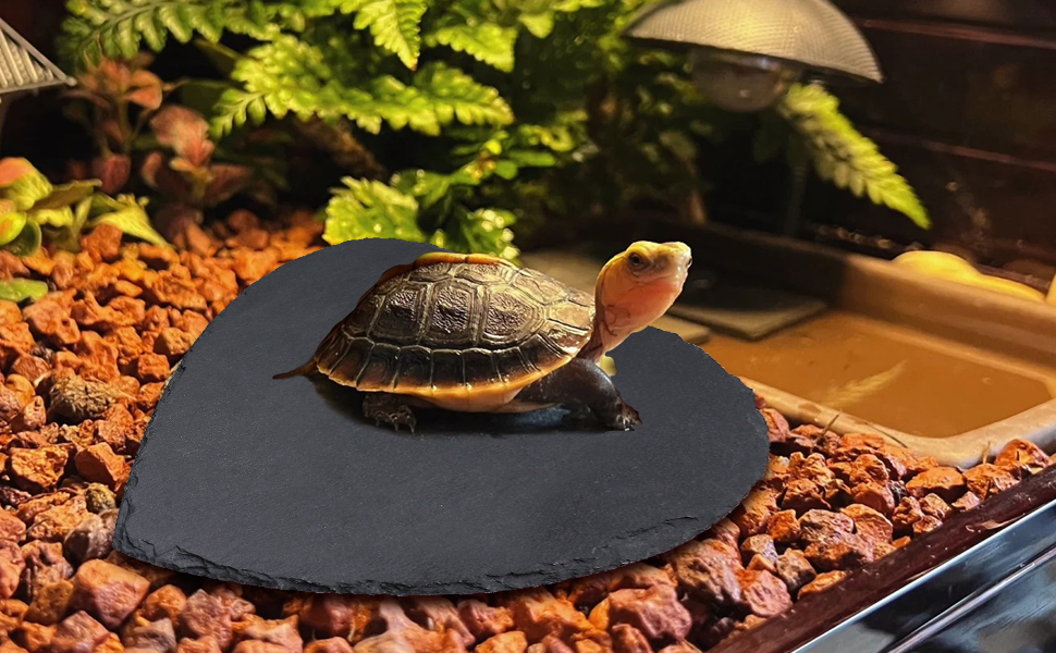 Reptile Basking Platform, Tortoise Rock Plate