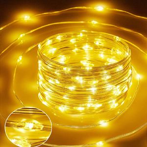 fairy lights outdoor