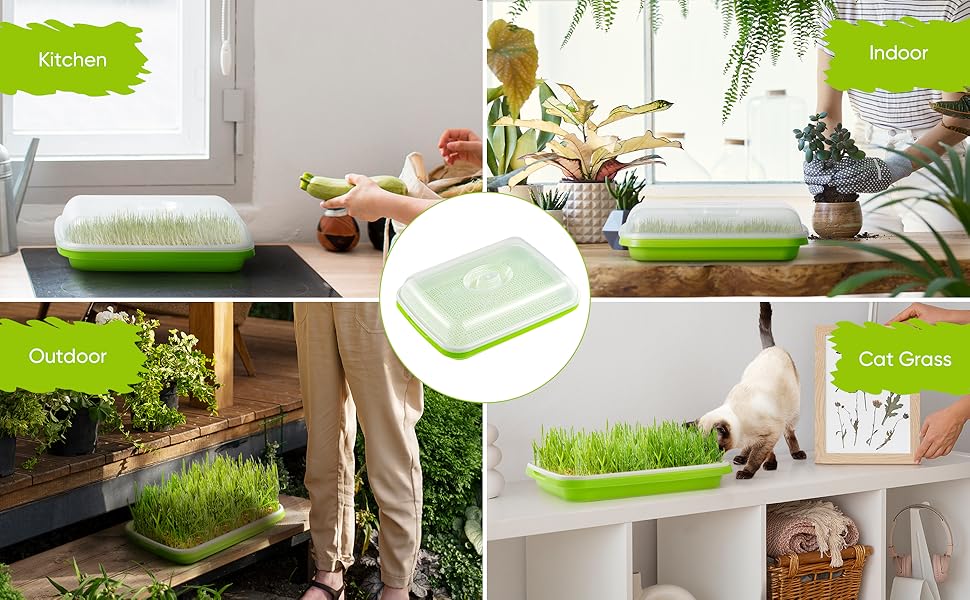 Green Seed Sprouter Trays with Lid