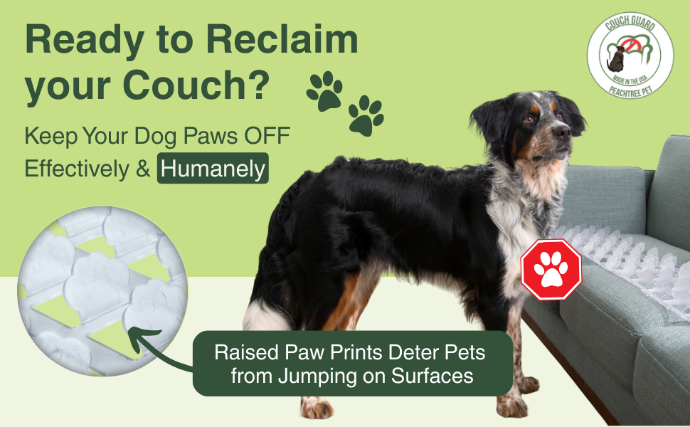 ready to reclaim your couch