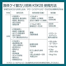 専用20キロ　10キロ✖︎2 5キロ ✖︎2 ゼット（ZETT）（キッズ）野球 スパイク ポイント ジュニア