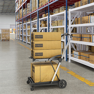 Folding Shopping Cart