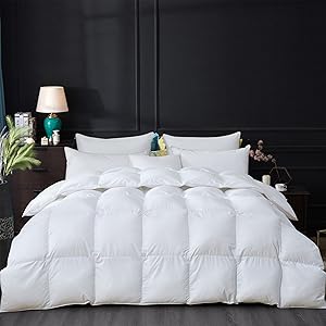 布団・毛布 TAKASHIMAYA PREMIUM DOWN COMFORTER 布団・毛布 TAKASHIMAYA PREMIUM DOWN COMFORTER 91W5pxszrbL