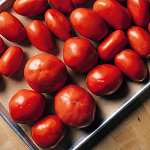 Ingredients tomato