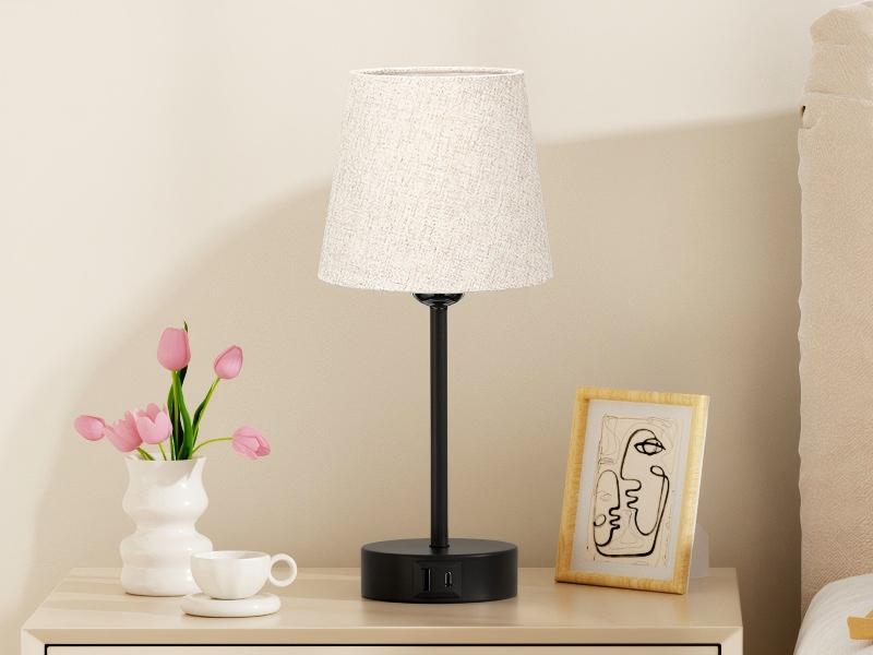 Interior room setting with minimalist decor, featuring table lamp, pink flowers in vase, and framed artwork against beige wall.