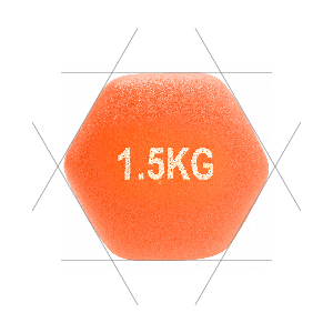 poids musculation femme haltères musculation haltères femme fitness haltères paire