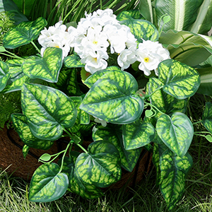 Artificial Greenery Plants