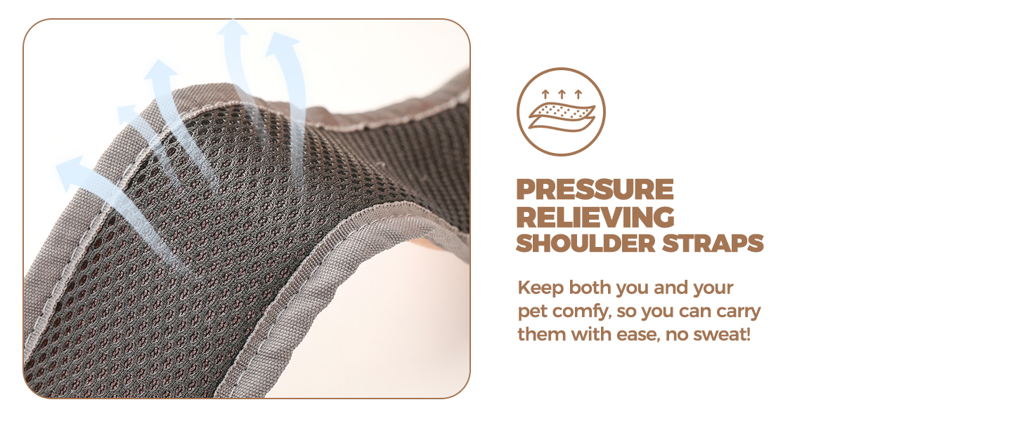 Collapsible Cat Carrier for Travel