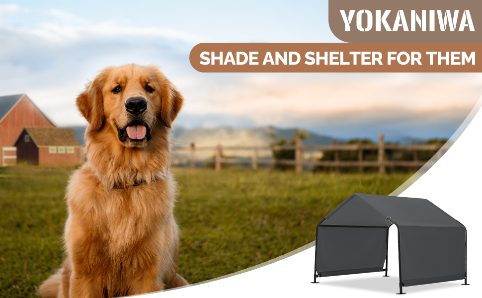 dog shade