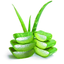 Hand Moisturizer Lotion Gift Set