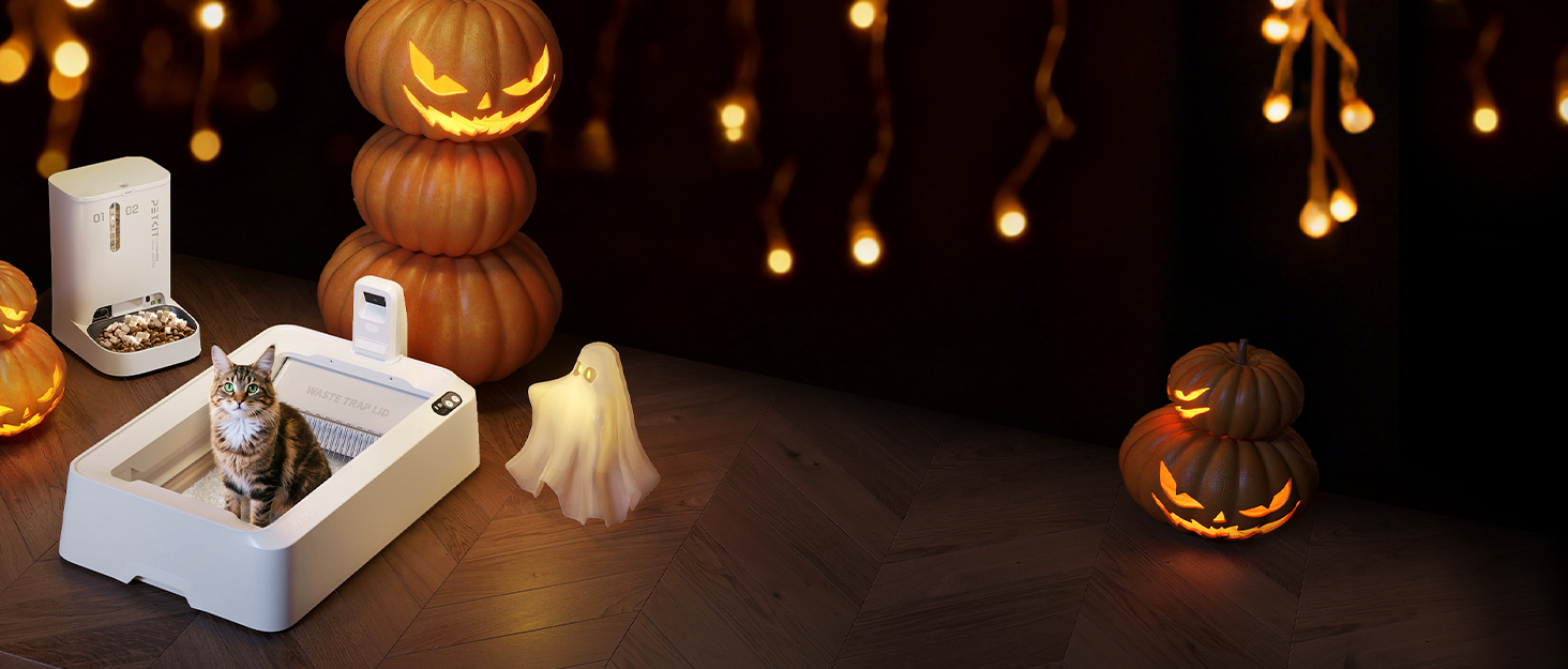 petkit cat litter box