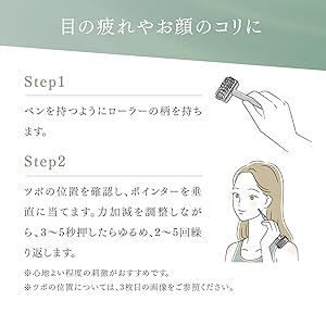 Amazon.co.jp: TEISIN 長柄ローラー（2WAY）×2個セットトワ