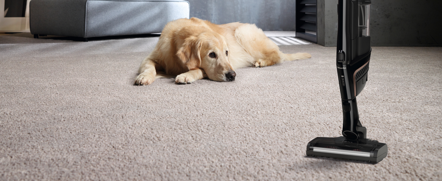 Miele Triflex HX1 Cat and Dog Cordless Stick Vacuum Cleaner with LED