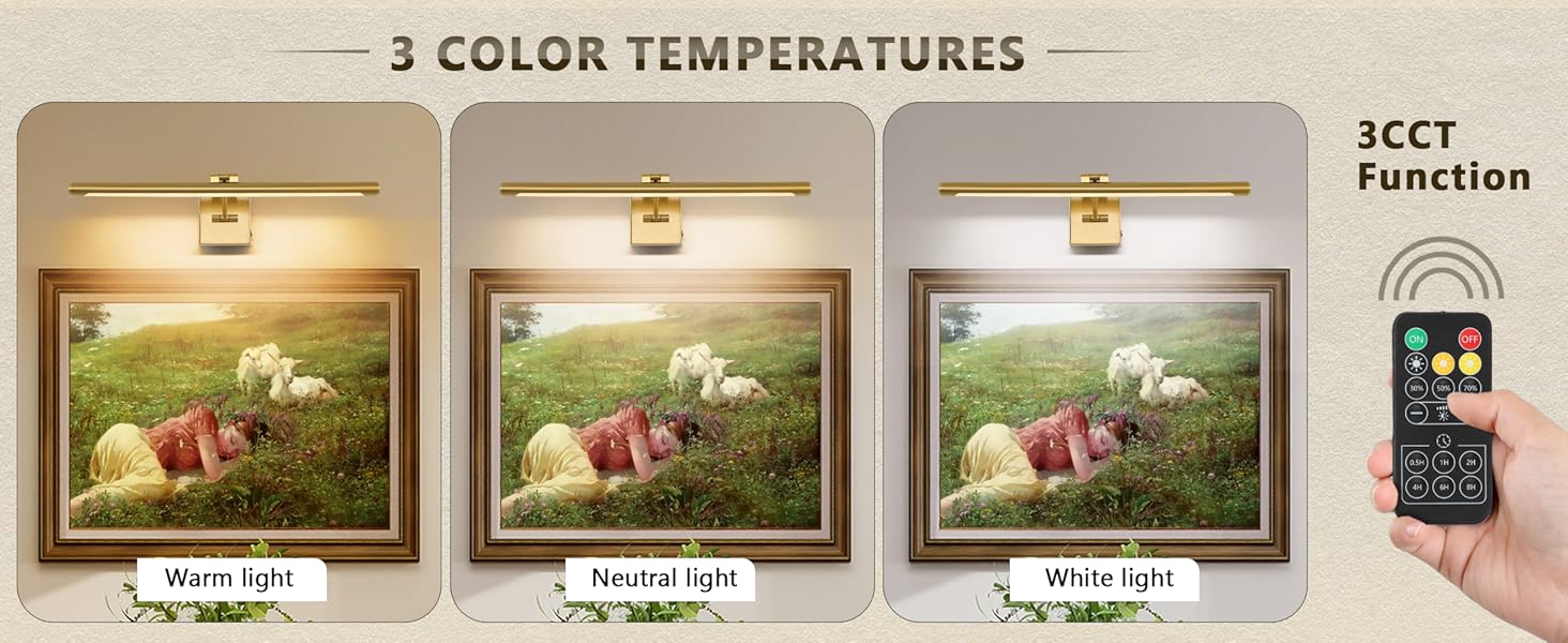 picture light