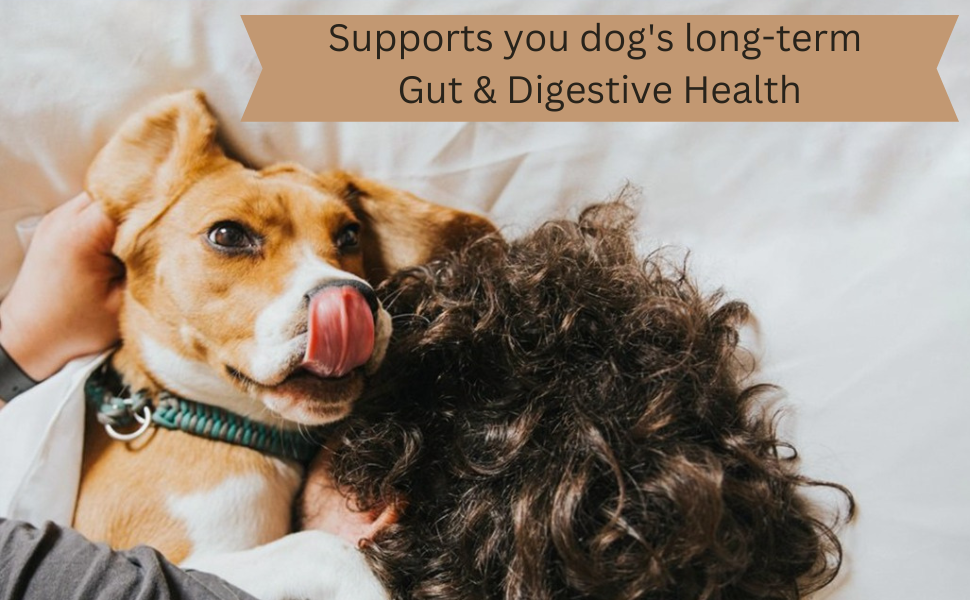 Digestive Support and Probiotics for Dogs 5BIL CFUs Dog Supplements