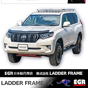 プラド150後期　バグガード　EGR 楽天市場】【みんカラ大賞受賞】プラド150後期 バグガード EGR