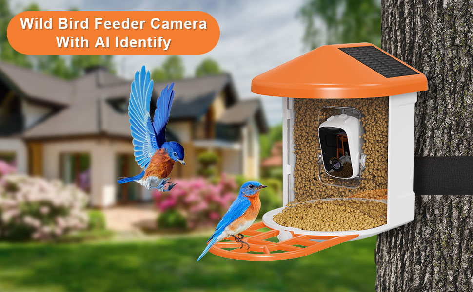 Oneware Wild Bird Feeder Camera, Smart Motion Activated