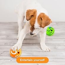 squeaky balls for dogs