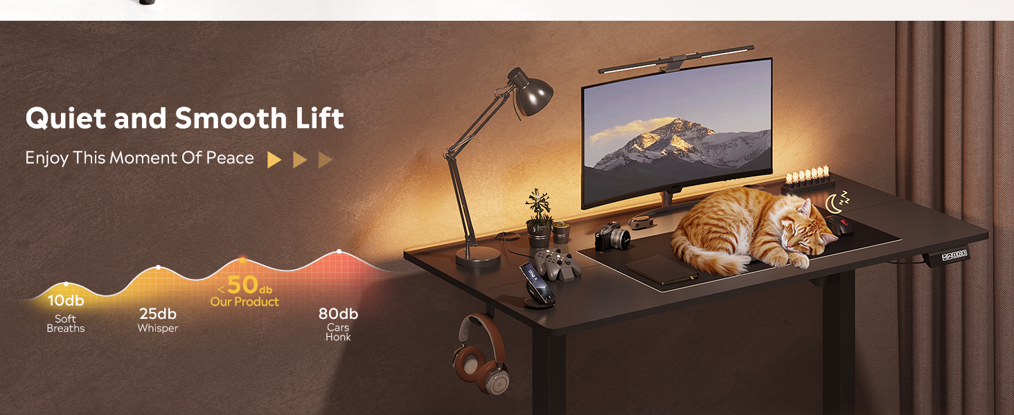 Electric Standing Desk