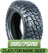 Amazon.com: Landspider Citytraxx G/P All-Season Passenger