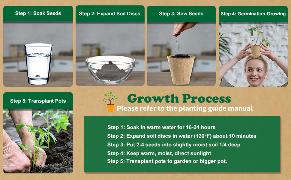 6 Vegetable Seed Starter Kit, Windowsill Gardening Kit