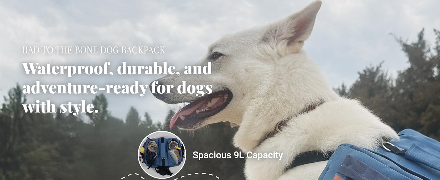 Durable dog backpack with adjustable fit for hiking and travel.