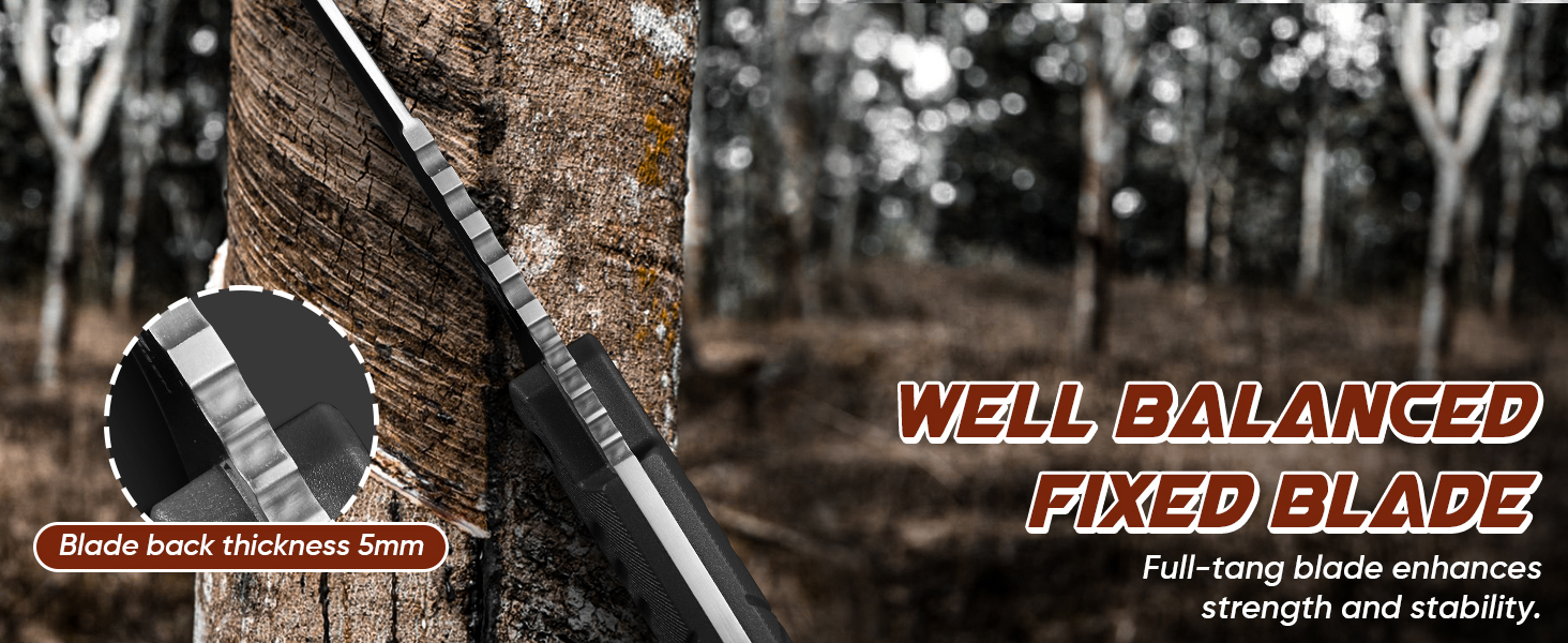 Fixed Blade Knife With Sheath