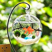Artificial Floating Fishes