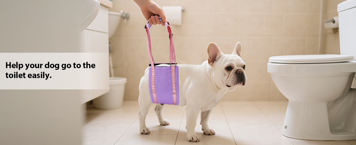 AIITLE Upgraded Dog Lift Harness for Large Dogs - Hind Leg Pet Sling