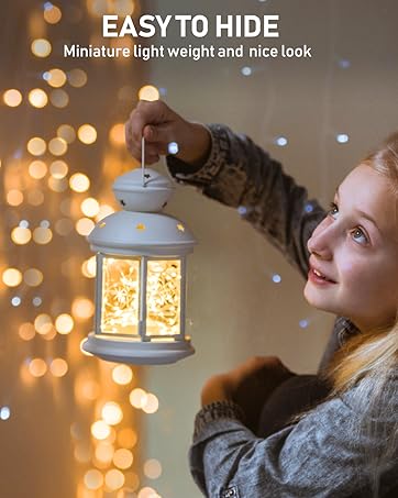  Fairy Lights