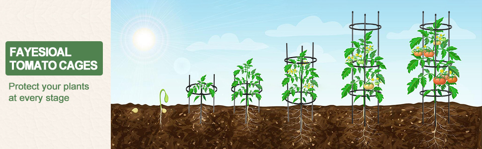 plant cage